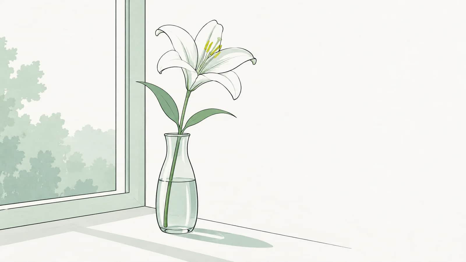 Illustration: Eine einzelne weisse Lilie in einer Glasvase auf einem hellen Fenstersims